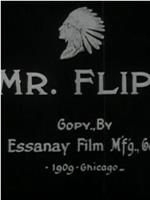 Mr. Flip在线观看和下载