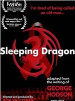 Sleeping Dragon在线观看和下载