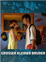 GROSSER KLEINER BRUDER在线观看和下载