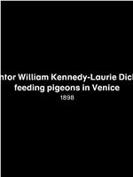 Inventor William Kennedy-Laurie Dickson Feeding Pigeons in Venice在线观看和下载