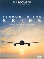 Terror in the Skies: Air Asia and Beyond在线观看和下载