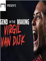 Virgil van Dijk: A Liverpool legend in the making在线观看和下载