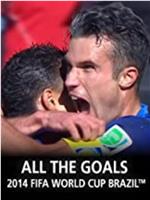 All the Goals of 2014 FIFA World Cup Brazil在线观看和下载