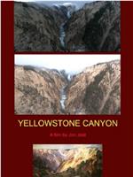 Yellow Stone Canyon在线观看和下载