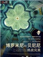 博罗米尼与贝尔尼尼：追求完美的挑战观看