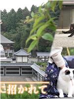 ドキュメント72時間：福井 “ねこ寺”に招かれて在线观看和下载