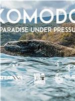 Komodo: A Paradise Under Pressure在线观看和下载